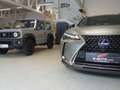 Lexus UX 250h Style-Ed.*HYBRID *LEDER *ASSISTENZ *CARPLAY Silber - thumbnail 2