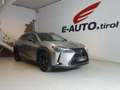Lexus UX 250h Style-Ed.*HYBRID *LEDER *ASSISTENZ *CARPLAY Silber - thumbnail 1