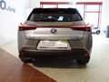 Lexus UX 250h Style-Ed.*HYBRID *LEDER *ASSISTENZ *CARPLAY Silber - thumbnail 7