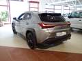 Lexus UX 250h Style-Ed.*HYBRID *LEDER *ASSISTENZ *CARPLAY Silber - thumbnail 6