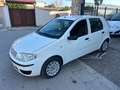 Fiat Punto Punto 5p 1.2 Active Gpl Blanco - thumbnail 2