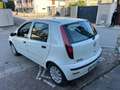 Fiat Punto Punto 5p 1.2 Active Gpl Blanco - thumbnail 8