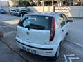 Fiat Punto Punto 5p 1.2 Active Gpl Blanco - thumbnail 7