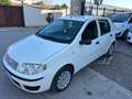 Fiat Punto Punto 5p 1.2 Active Gpl Blanco - thumbnail 1