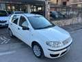 Fiat Punto Punto 5p 1.2 Active Gpl Blanco - thumbnail 4