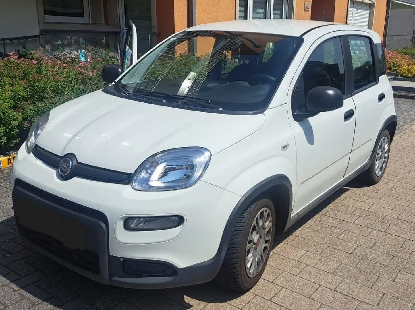 Fiat Panda Panda 1.0 GSE Hybrid Blanc - 1