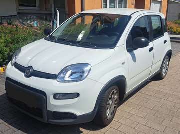 Panda 1.0 GSE Hybrid