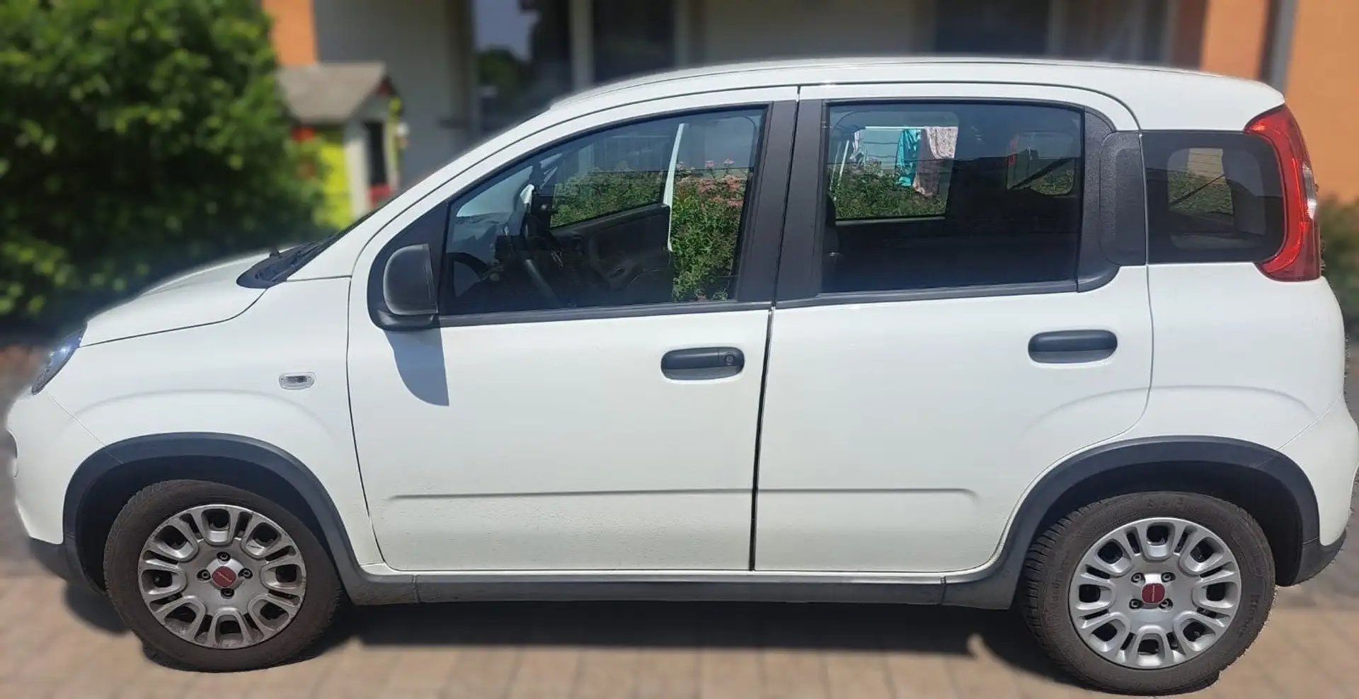 Fiat Panda Panda 1.0 GSE Hybrid Blanc - 2