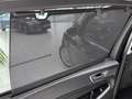 Ford S-Max 2.5 Duratec FHEV TITANIUM *adaptiveLED,Kamera,FGS* Чорний - thumbnail 9