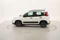 Fiat Panda City Life 1.0 Mild Hybrid 70CV Bianco - thumbnail 2