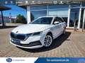 Skoda Octavia Combi Style 4x4 Matrix STHZ RFK Leder HeadUp Memo Blanc - thumbnail 1