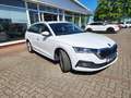 Skoda Octavia Combi Style 4x4 Matrix STHZ RFK Leder HeadUp Memo Blanc - thumbnail 8