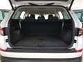 Skoda Kodiaq 2,0 TDI DSG Faceliftmodell ACC AHK Travel Assist H Weiß - thumbnail 12