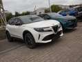 Alfa Romeo Junior Junior 1.2 VGT Ibrida Speciale Weiß - thumbnail 1