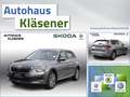 Skoda Kamiq 1.0 TSI 70KW LED PDC GRA CLIMAT S-LINK LM17 Grigio - thumbnail 1