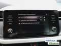 Skoda Kamiq 1.0 TSI 70KW LED PDC GRA CLIMAT S-LINK LM17 Grigio - thumbnail 17
