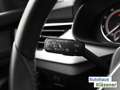 Skoda Kamiq 1.0 TSI 70KW LED PDC GRA CLIMAT S-LINK LM17 Grigio - thumbnail 19