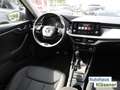 Skoda Kamiq 1.0 TSI 70KW LED PDC GRA CLIMAT S-LINK LM17 Grigio - thumbnail 9