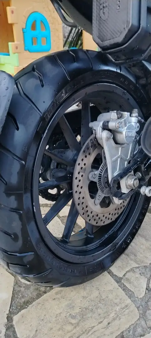 Benelli Leoncino Rosso - 1