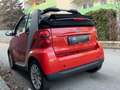 smart forTwo Cabrio*KLIMA*RADIO*ZV*KREDIT MÖGLICH* Grau - thumbnail 12