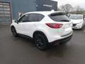 Mazda CX-5 2.2 SKYACTIV-D 150 DYNAMIQUE 4X4 Weiß - thumbnail 7