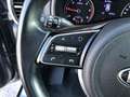 Kia Sportage 1.6 CRDI 115cv Business Class GARANZIA EUROPEA Zilver - thumbnail 16