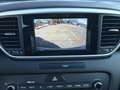 Kia Sportage 1.6 CRDI 115cv Business Class GARANZIA EUROPEA Zilver - thumbnail 11