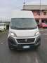Fiat Ducato FIAT DUCATO EURO6 MAXI TETTO RIALZATO PASSO LUNGO Bianco - thumbnail 1