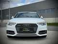 Audi A4 Avant 2,0 TDI quattro Sport S-tronic S-line Weiß - thumbnail 5