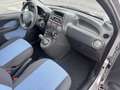 Fiat Panda neopatentati 5 Posti LEGGERE LA DESCRIZIONE!!! - thumbnail 10