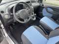 Fiat Panda neopatentati 5 Posti LEGGERE LA DESCRIZIONE!!! - thumbnail 8