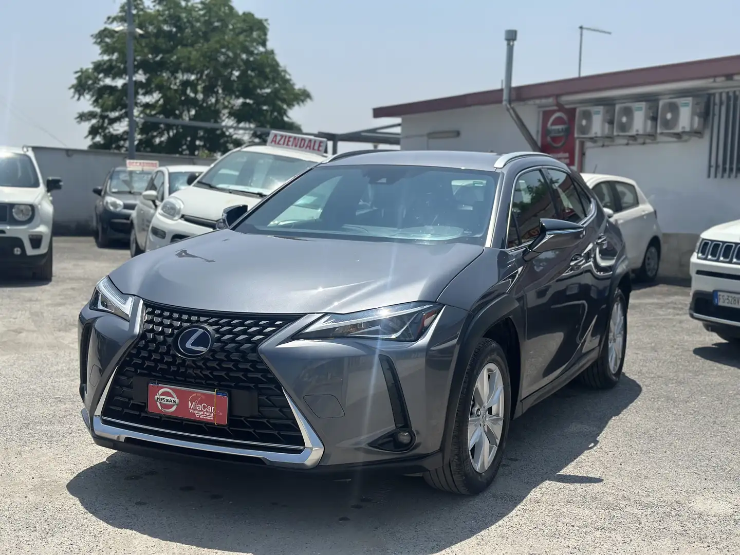 Lexus UX 250h business Grigio - 1