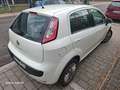 Fiat Punto MyLife White - thumbnail 3