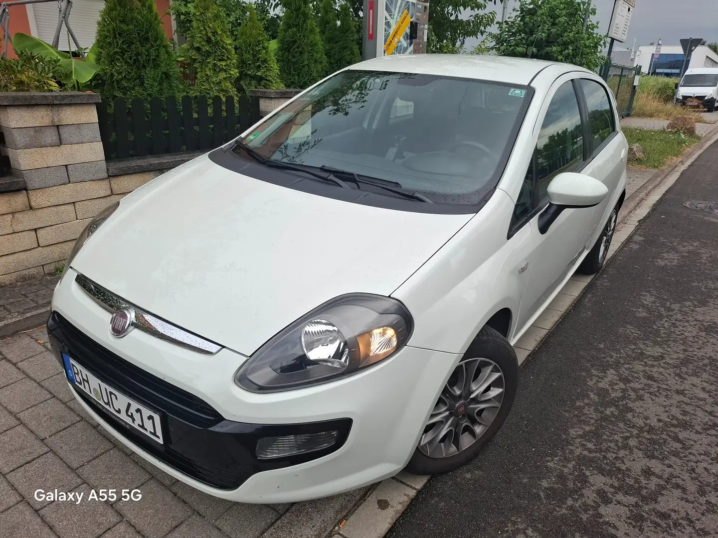 Fiat Punto MyLife White - 1
