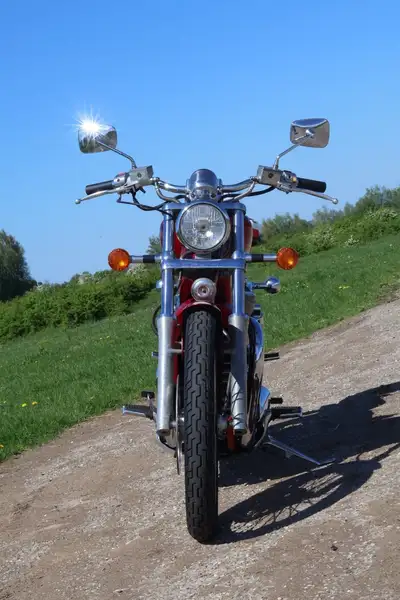 Suzuki VS 800 - foto 3