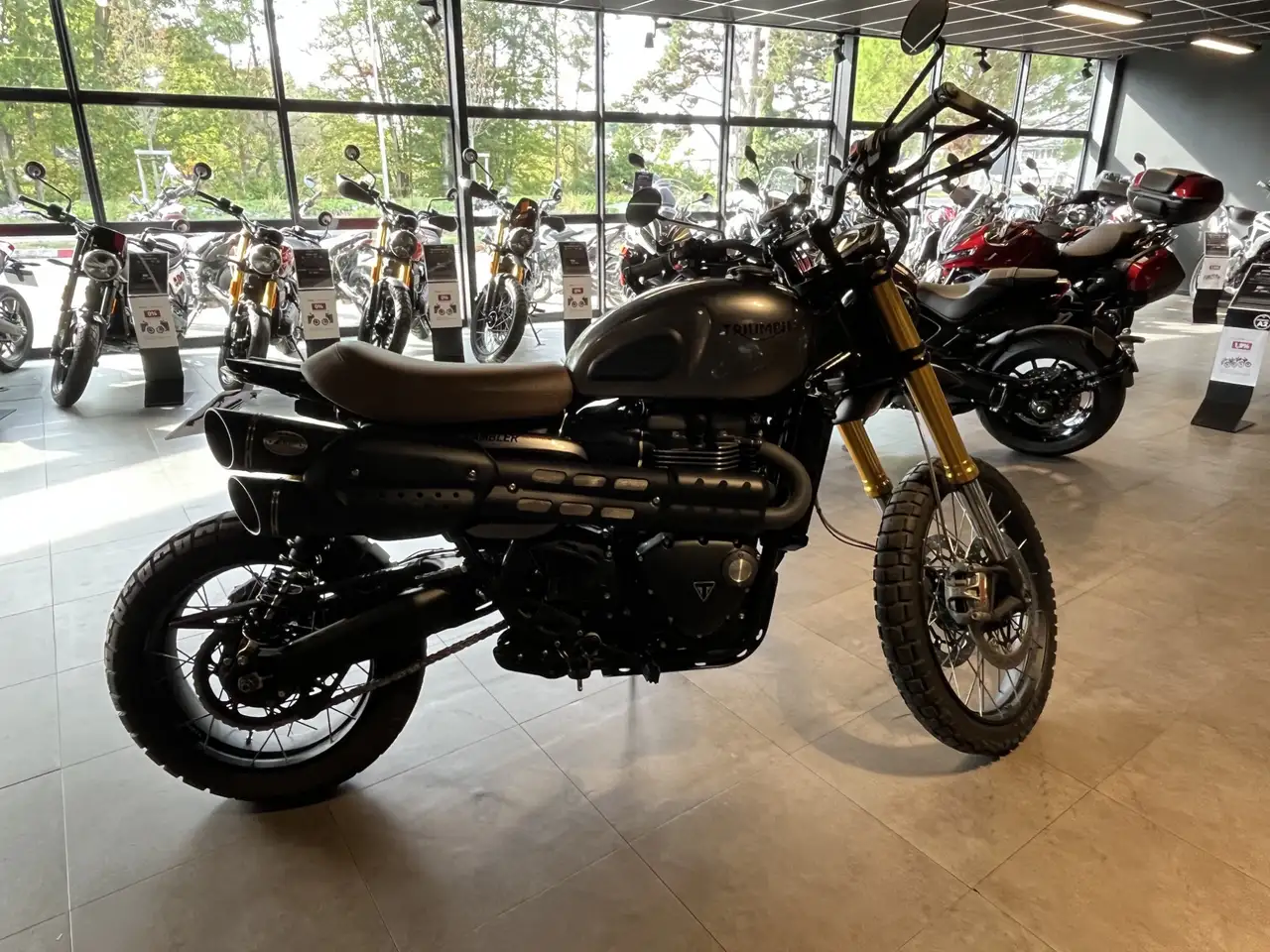 Triumph Scrambler