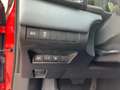 Toyota Mirai Executive 360 SpurW LM LED KeyLess Leder Rosso - thumbnail 16