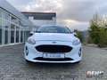 Ford Fiesta 1.5 TDCi Cool & Connect 1.Hand Winterpaket Weiß - thumbnail 20