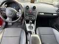 Audi A3 Sportback 2.0TDI Ambiente S-T DPF Rojo - thumbnail 12