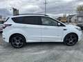 Ford Kuga ST-Line AWD 4x4 LED Lenkrad+WSS+Sitz-HZG Alu'19 Weiß - thumbnail 5