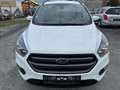 Ford Kuga ST-Line AWD 4x4 LED Lenkrad+WSS+Sitz-HZG Alu'19 Weiß - thumbnail 9