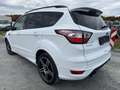 Ford Kuga ST-Line AWD 4x4 LED Lenkrad+WSS+Sitz-HZG Alu'19 Weiß - thumbnail 4