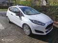 Ford Fiesta Fiesta 1.25 - LICHTE VRACHT Blanc - thumbnail 1