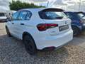 Fiat Tipo 1.0 City Cross 1.0 FireFly 100 Wit - thumbnail 7