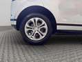 Land Rover Range Rover Evoque 2.0 P250 R-Dynamic AUTO 4WD MHEV Blanco - thumbnail 24