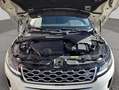 Land Rover Range Rover Evoque 2.0 P250 R-Dynamic AUTO 4WD MHEV Blanco - thumbnail 20