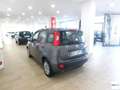 Fiat Panda FIAT  1.0 FireFly S&S Hybrid City Life Grigio - thumbnail 4