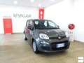 Fiat Panda FIAT  1.0 FireFly S&S Hybrid City Life Grigio - thumbnail 1
