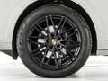 Porsche Cayenne 3.0 tiptronic APPROVED 12 MESI - thumbnail 5