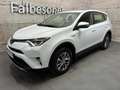 Toyota RAV 4 2,5 Hybrid Active Weiß - thumbnail 1